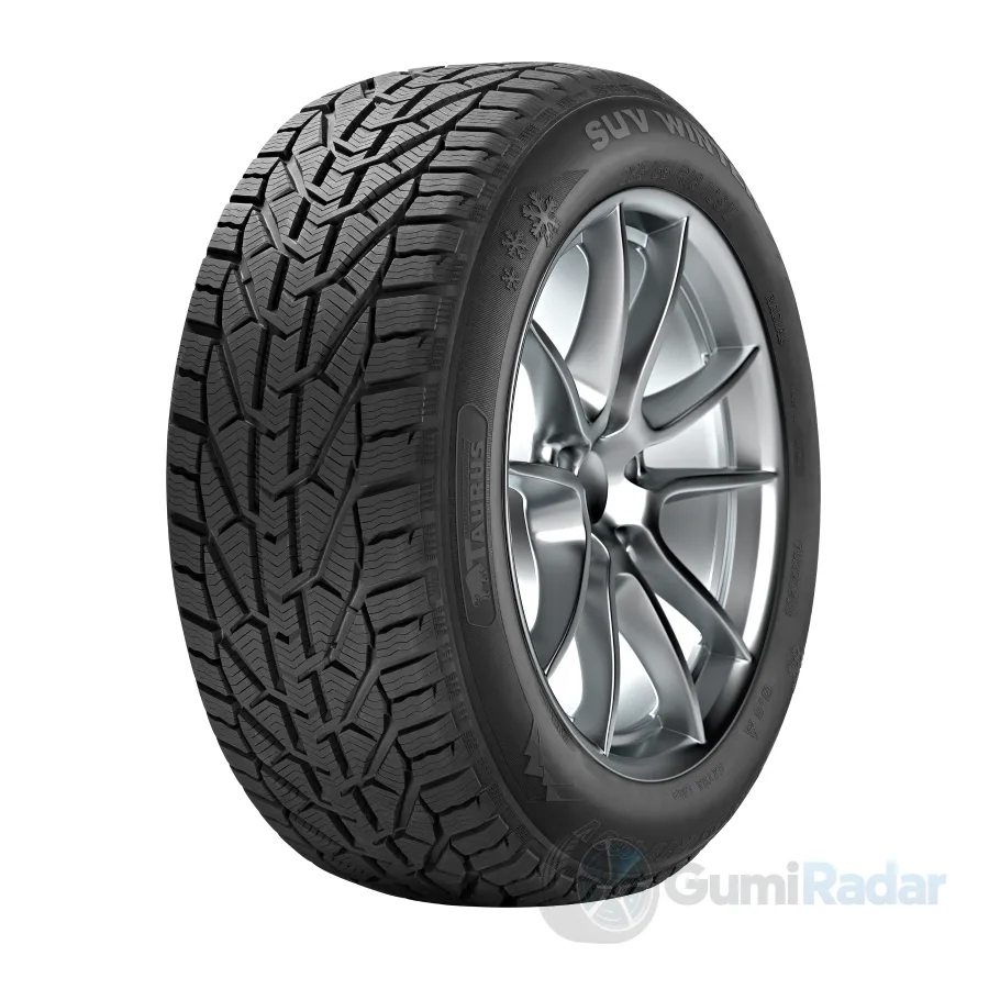 Taurus SUV WINTER