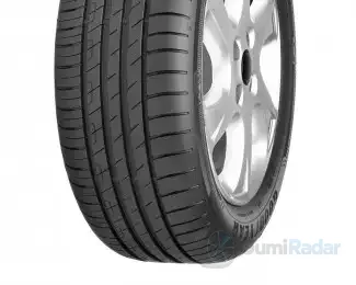 Goodyear EfficientGrip Performance RE