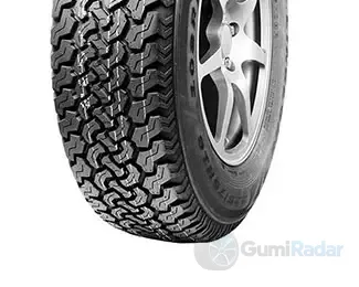 Linglong R620