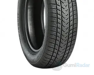 Gripmax SUREGRIP eWINTER EV