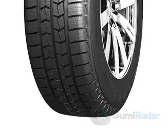 Nexen Winguard WT1