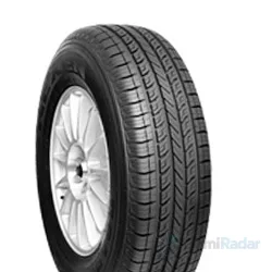 Nexen Roadian 541